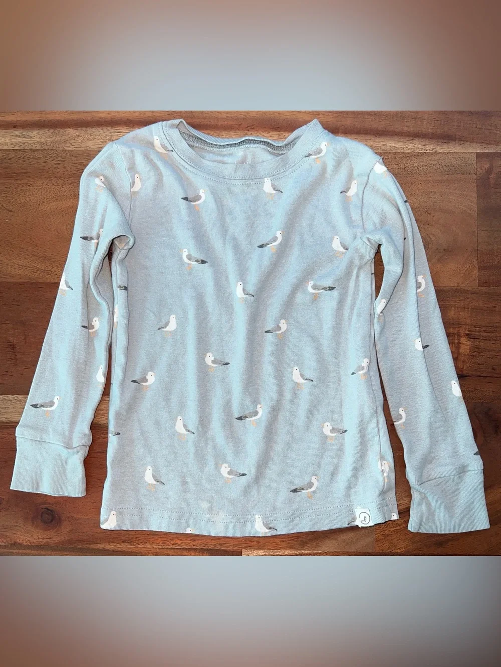 Toddler Organic Cotton Pajamas Setting